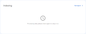 Screenshot of Google Search Console error: Processing data, please check again in a day or so